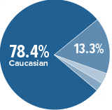 race-ethnicity-chart-image